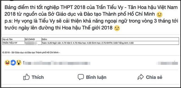 Điểm thi đại học, tốt nghiệp của dàn Hoa hậu Việt: Ai có cửa vượt bộ điểm thần thánh 10-10-9 của Hương Giang? - Ảnh 3.