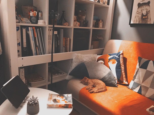 Du học sinh đi thuê nhà, sẵn sàng chi 50 triệu decor lại phòng rộng 12m2, chịu khó ghê! - Ảnh 5.