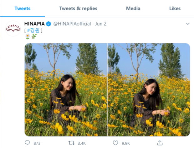 hinapia-15963737287981817992602.png