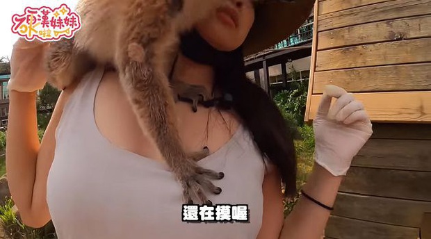 Đi sở thú làm vlog, cô nàng YouTuber bất ngờ bị vượn sàm sỡ ngay trên sóng - Ảnh 5.