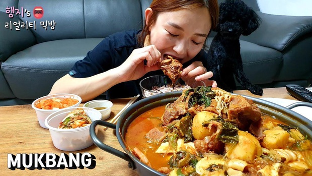 Sau khi bị tố lừa dối, hàng loạt YouTuber Hàn Quốc lao đao, có người đã phải bỏ nghề vì sức ép dư luận - Ảnh 3.