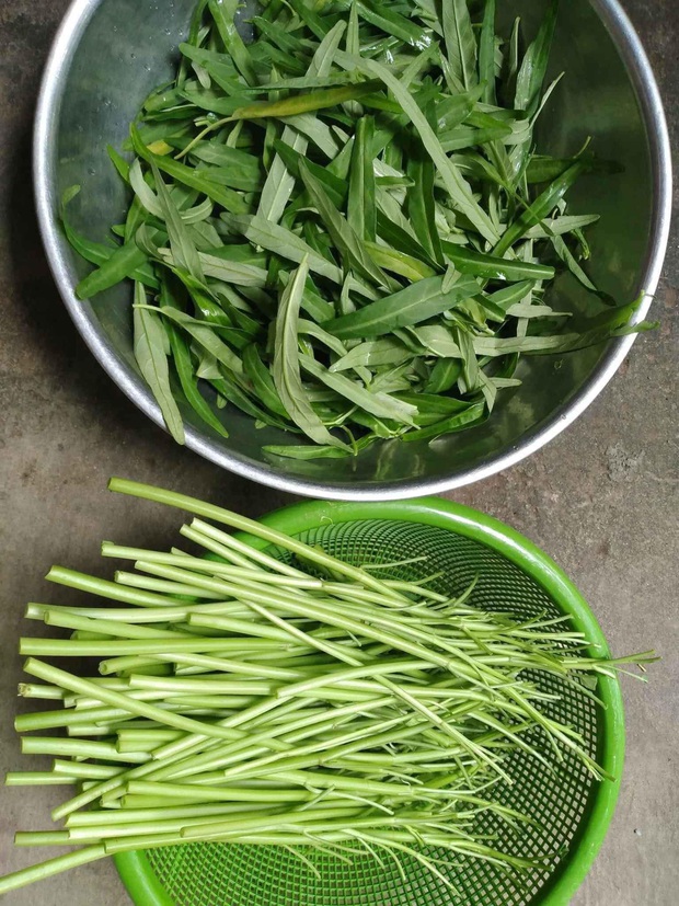 10 đĩa rau muống kinh hoàng được cư dân mạng khoe, chị Mỹ Tâm xem xong chắc bỏ luôn nghề xào rau! - Ảnh 12.