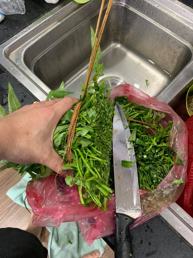 10 đĩa rau muống kinh hoàng được cư dân mạng khoe, chị Mỹ Tâm xem xong chắc bỏ luôn nghề xào rau! - Ảnh 10.