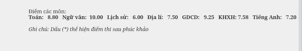 Nữ sinh đạt 10 điểm Văn tốt nghiệp THPT: Tổng kết 9,9, đi học chưa bao giờ điểm dưới 9,5 - Ảnh 4.