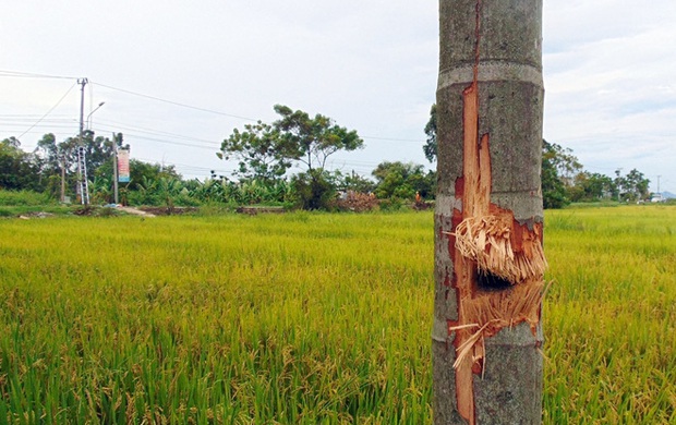 Cận cảnh hiện trường vụ nổ khiến nữ nhân viên ngân hàng tử vong - Ảnh 3.