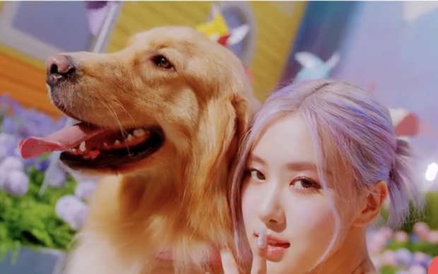 Cả một bữa tiệc visual xinh tươi trong Ice Cream, nhưng Jisoo (BLACKPINK) mới là người leo trending cao nhất vì... vô hình trong MV! - Ảnh 26.