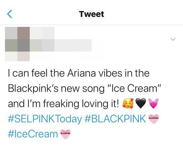 Fan quốc tế kẻ khen người chê Ice Cream: người ca ngợi Selena Gomez quá đỉnh, người lại hỏi: Ủa xài demo nhạc Ariana Grande hay gì? - Ảnh 5.