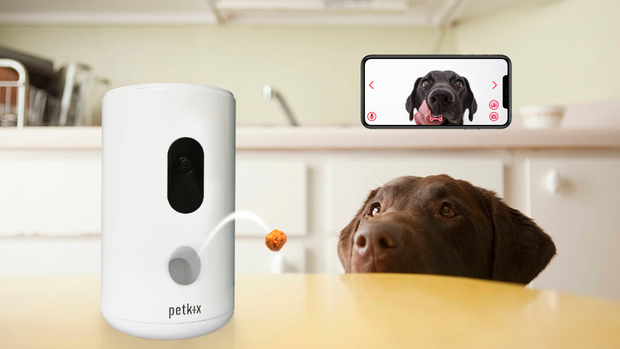 Lại có thêm thiết bị giúp con sen phục vụ các boss, lần này là camera đa năng Petkix - Ảnh 3.