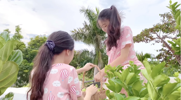 Lọ Lem và Hạt Dẻ xinh xắn trong clip hái chanh với ba, Quyền Linh nhắc Dẻ, gai đó con dễ thương gì đâu - Ảnh 3. Lọ Lem và Hạt Dẻ xinh xắn trong clip hái chanh với ba, Quyền Linh nhắc Dẻ, gai đó con dễ thương gì đâu - Ảnh 3.