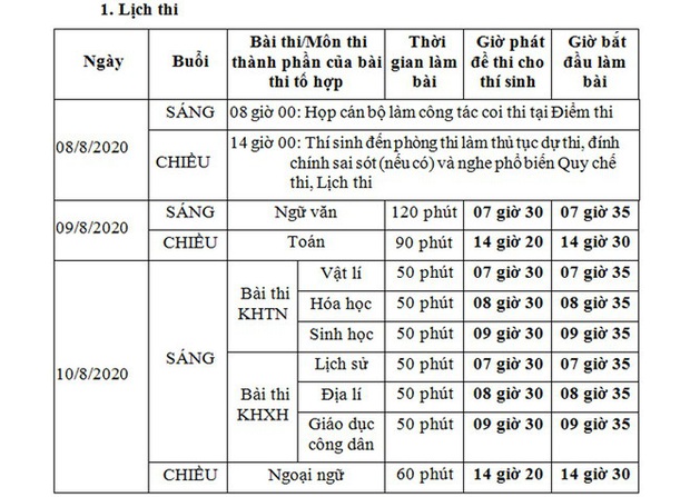 Chính phủ đồng ý phương án vẫn thi tốt nghiệp THPT Quốc gia 2020 - Ảnh 1.