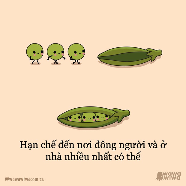 Cách hươu cao cổ, hạt đậu Hà Lan bảo vệ mình trong dịch Covid, bạn đã cẩn thận bằng chúng chưa này? - Ảnh 2. Cách hươu cao cổ, hạt đậu Hà Lan bảo vệ mình trong dịch Covid, bạn đã cẩn thận bằng chúng chưa này? - Ảnh 2.