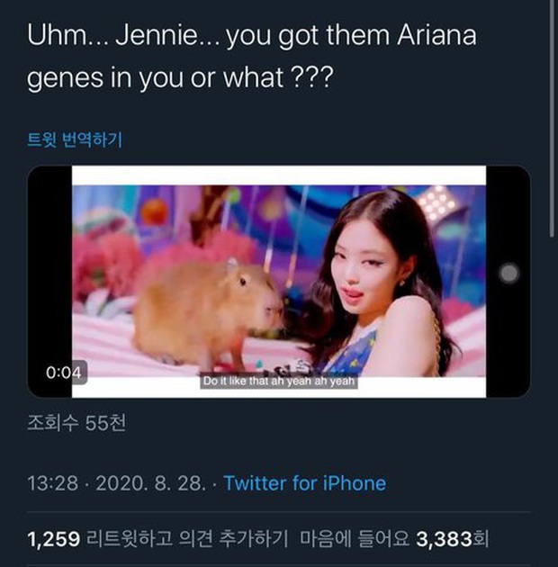 Jennie chớp mắt đá lưỡi trong MV Ice Cream bị Knet tố là bắt chước Ariana Grande, phản ứng khác fan 1 trời 1 vực - Ảnh 12. Jennie chớp mắt đá lưỡi trong MV Ice Cream bị Knet tố là bắt chước Ariana Grande, phản ứng khác fan 1 trời 1 vực - Ảnh 12.
