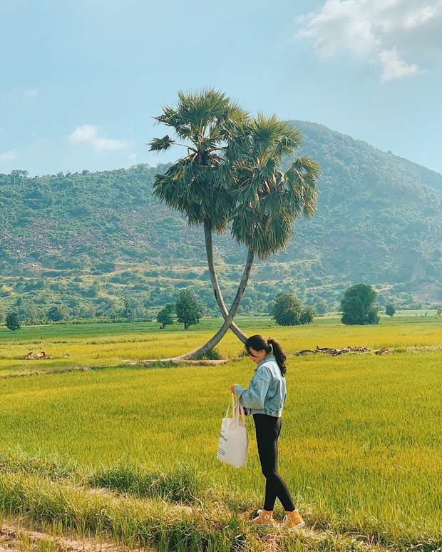 Điểm du lịch được “săn đón” nhất ở miền Nam hiện tại: Chi phí rẻ lại nằm gần xịt Sài Gòn, giới trẻ check-in ngập tràn MXH - Ảnh 23.