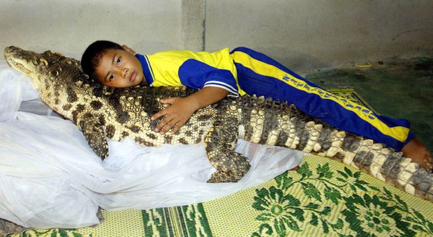 Đứa trẻ ôm ấp bé cá sấu mà mặt thản nhiên như không có gì và hàng loạt thể loại thú cưng không phải ai cũng dám nuôi - Ảnh 1.