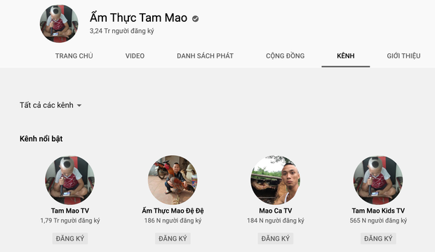 NTN và Tam Mao: 2 thế lực YouTube bất chấp gạch đá để kiếm tiền tỷ, sắm Mẹc, xây nhà to nhất vùng - Ảnh 7.