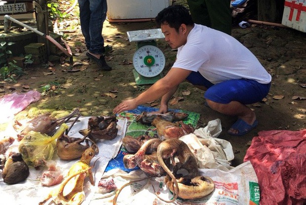 Choáng với 2 ổ nuôi nhốt, cấp đông động vật quý hiếm ở Lâm Đồng  - Ảnh 5.