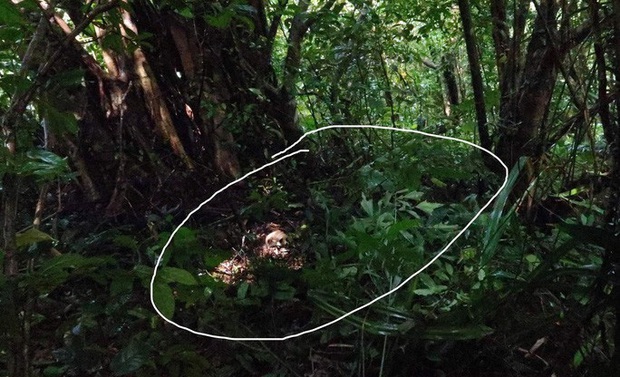 Phát hiện bộ xương người trên đỉnh núi Cấm  - Ảnh 1.