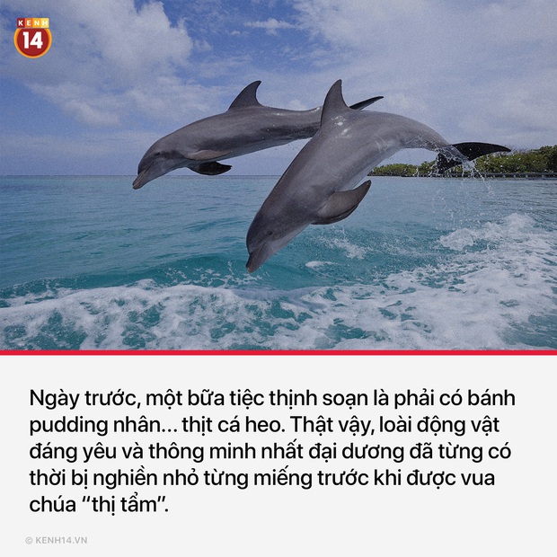 17 món ăn lợm cả giọng thời Trung cổ chứng minh khẩu vị siêu mặn và độc đáo của các bậc tiền bối  - Ảnh 1.