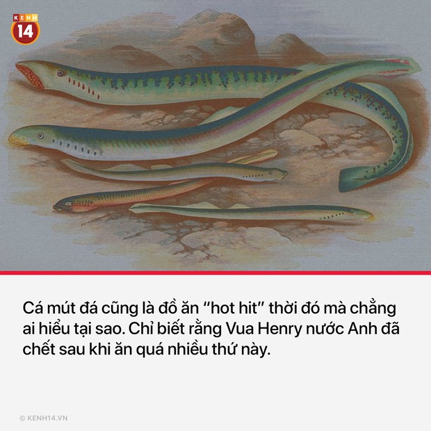 17 món ăn lợm cả giọng thời Trung cổ chứng minh khẩu vị siêu mặn và độc đáo của các bậc tiền bối  - Ảnh 7.