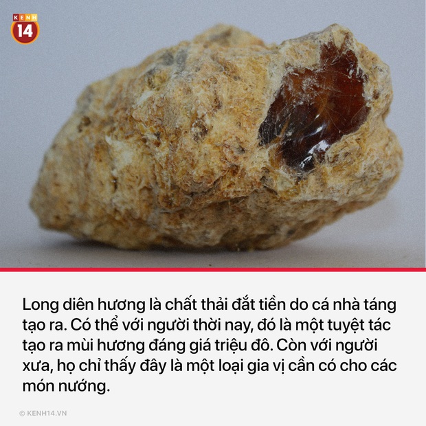 17 món ăn lợm cả giọng thời Trung cổ chứng minh khẩu vị siêu mặn và độc đáo của các bậc tiền bối  - Ảnh 17.