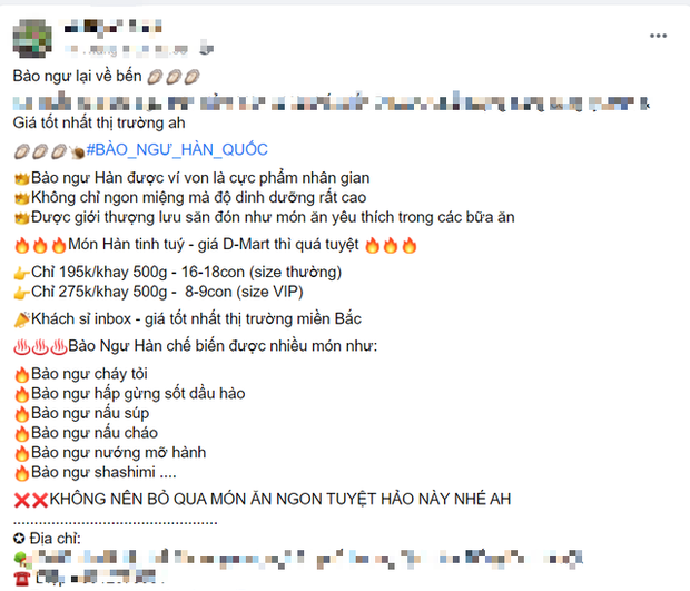 Tôm hùm rớt giá chưa từng có, bào ngư giá rẻ chỉ 15.000 đồng/con - Ảnh 2.