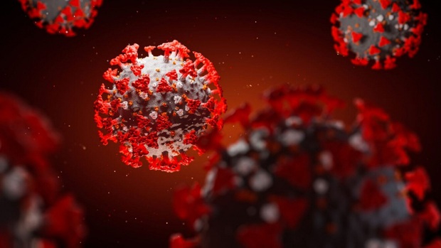 Phát hiện kháng thể có thể “vô hiệu hóa hoàn toàn” virus SARS-CoV-2  - Ảnh 1.