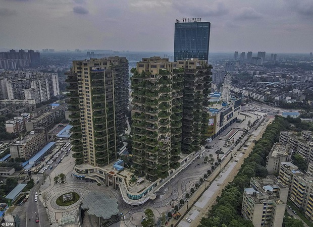 Trung Quốc tham vọng xây thiên đường sinh thái nhưng lại hóa thành phố ma vì… muỗi - Ảnh 9. Trung Quốc tham vọng xây thiên đường sinh thái nhưng lại hóa thành phố ma vì… muỗi - Ảnh 9.