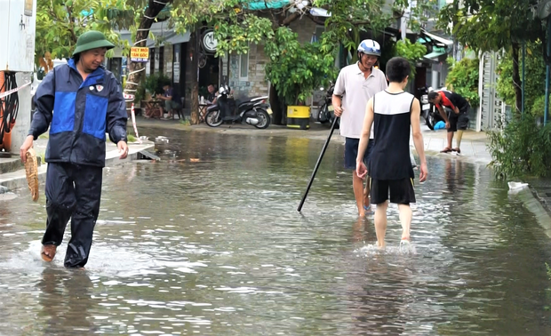 Clip: Người Đà Nẵng thích thú mang rổ ra đường phố bắt cá sau bão số 5 - Ảnh 4.