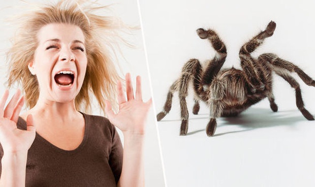 Đến hẹn lại lên: Cùng nhau cười rụng rốn với các nghiên cứu đạt giải Ig Nobel 2020, kèm phần thưởng không thể thốn hơn từ ban tổ chức - Ảnh 8. Đến hẹn lại lên: Cùng nhau cười rụng rốn với các nghiên cứu đạt giải Ig Nobel 2020, kèm phần thưởng không thể thốn hơn từ ban tổ chức - Ảnh 8.