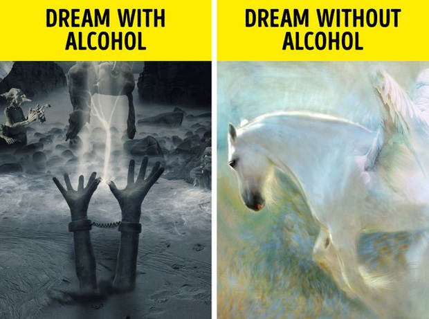 Thử thách 4 tuần không đụng đến rượu bia dù chỉ một giọt, và đây là những gì sẽ xảy ra theo chia sẻ của người trong cuộc - Ảnh 2.