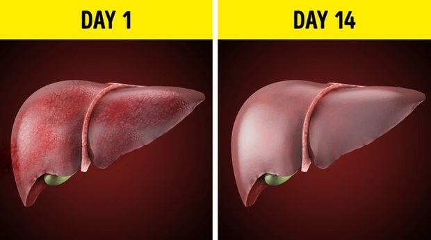 Thử thách 4 tuần không đụng đến rượu bia dù chỉ một giọt, và đây là những gì sẽ xảy ra theo chia sẻ của người trong cuộc - Ảnh 3.