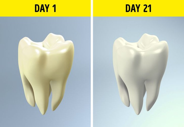 Thử thách 4 tuần không đụng đến rượu bia dù chỉ một giọt, và đây là những gì sẽ xảy ra theo chia sẻ của người trong cuộc - Ảnh 6.