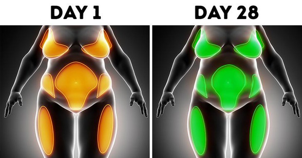 Thử thách 4 tuần không đụng đến rượu bia dù chỉ một giọt, và đây là những gì sẽ xảy ra theo chia sẻ của người trong cuộc - Ảnh 7.