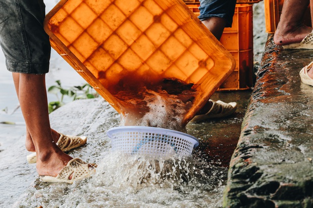 Photo: Helplessly watching the army electrocute hundreds of kilograms of the fish released in front of them and sell them for 50,000 VND / kg - Photo 5.