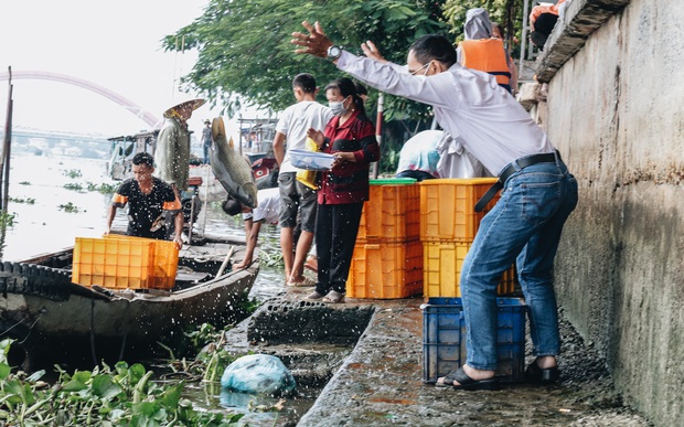 Photo: helplessly watching the army electrocute hundreds of kilograms of fish in front of them to sell for 50,000 VND / kg - Photo 4.