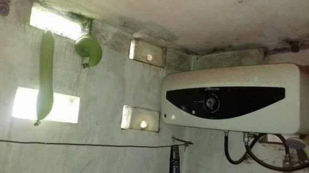 Những bé cây mọc sai trái khiến gia chủ phát bực, nhọc nhằn công chăm sóc mà người hưởng lại là gã hàng xóm lâu năm - Ảnh 12. Những bé cây mọc sai trái khiến gia chủ phát bực, nhọc nhằn công chăm sóc mà người hưởng lại là gã hàng xóm lâu năm - Ảnh 12.
