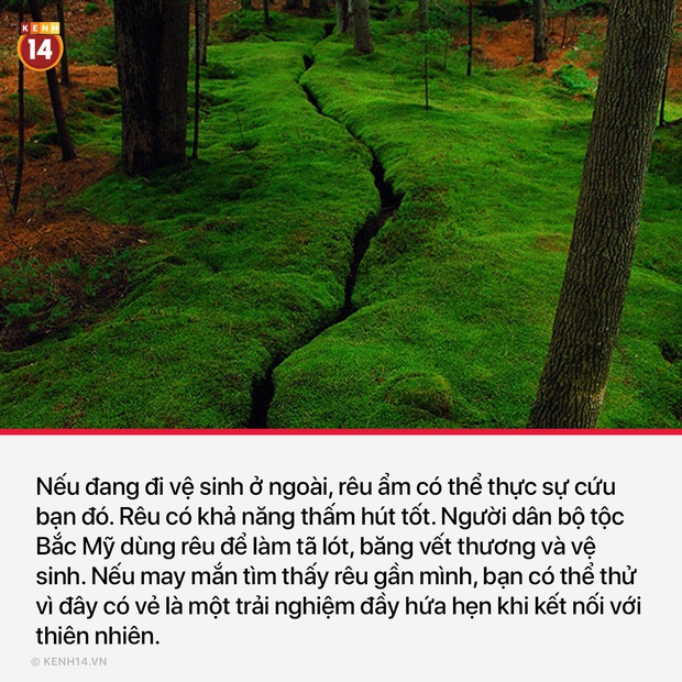 10 thứ không ai ngờ tới có thể thay thế giấy vệ sinh khi bạn lâm vào hoàn cảnh éo le trong toilet: Hết giấy - Ảnh 1.