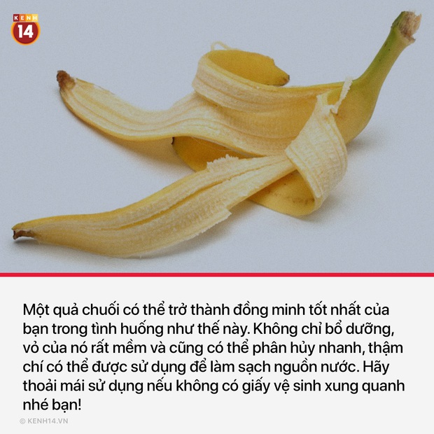 10 thứ không ai ngờ tới có thể thay thế giấy vệ sinh khi bạn lâm vào hoàn cảnh éo le trong toilet: Hết giấy - Ảnh 3.