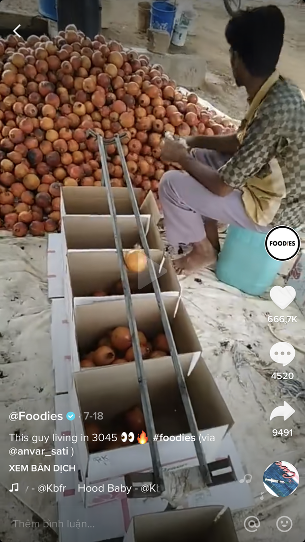 Bất ngờ trước cách chàng trai nước ngoài phân loại trái cây cực thông minh, tất cả đều nhờ… 2 thanh sắt như thế này! - Ảnh 1. Bất ngờ trước cách chàng trai nước ngoài phân loại trái cây cực thông minh, tất cả đều nhờ… 2 thanh sắt như thế này! - Ảnh 1.