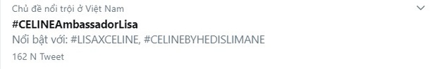 Lisa chính thức thành đại sứ toàn cầu của Celine, đáng nói là bức ảnh định mệnh đăng đúng ngày này 2 năm trước - Ảnh 3.