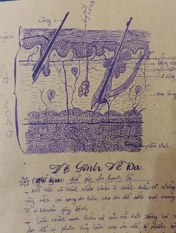 Tò mò xem mẹ học môn Sinh thời xưa thế nào, nữ sinh trầm trồ vì quyển vở toàn tranh vẽ tay mà giống sách giáo khoa từng chi tiết - Ảnh 1.