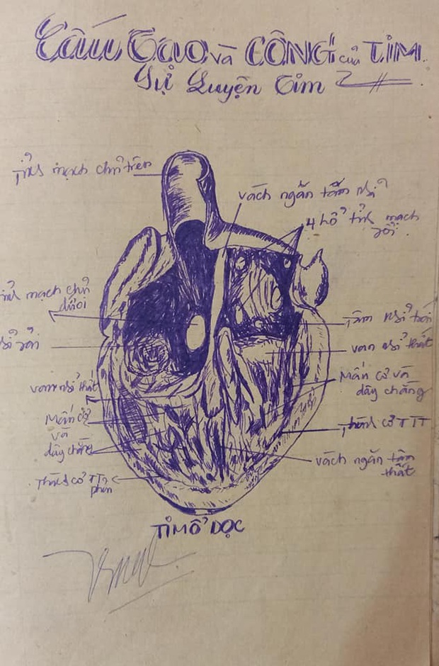 Tò mò xem mẹ học môn Sinh thời xưa thế nào, nữ sinh trầm trồ vì quyển vở toàn tranh vẽ tay mà giống sách giáo khoa từng chi tiết - Ảnh 2.