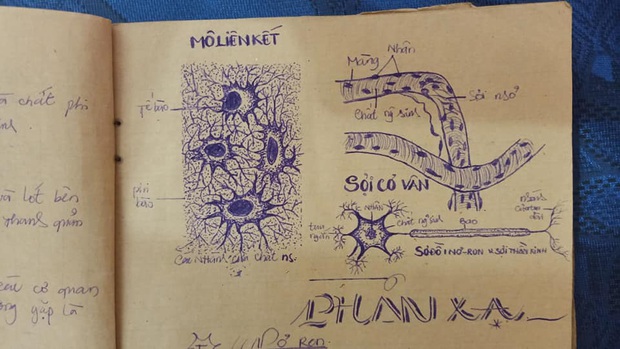 Tò mò xem mẹ học môn Sinh thời xưa thế nào, nữ sinh trầm trồ vì quyển vở toàn tranh vẽ tay mà giống sách giáo khoa từng chi tiết - Ảnh 3.