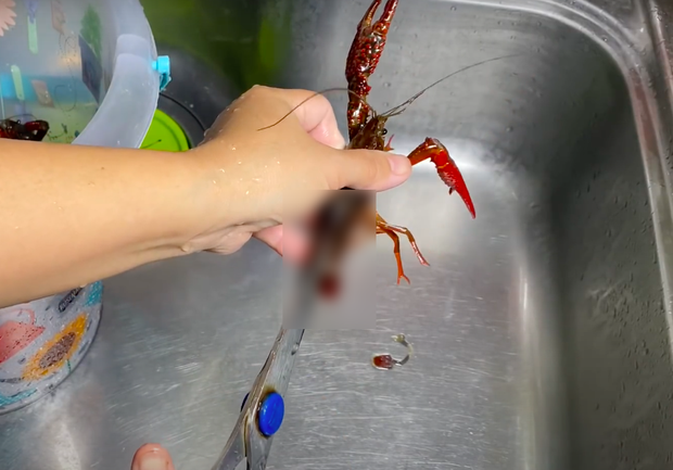 Cận cảnh những phân đoạn “phản cảm” khiến Quỳnh Trần JP và Sang Vlog bị tắt kiếm tiền, các YouTuber cần phải làm gì sau đó? - Ảnh 5.