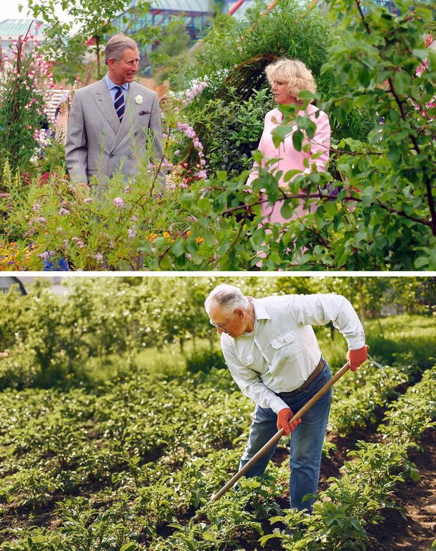 Những việc cho thấy tiêu chuẩn kép về giàu - nghèo là có thực: Đẳng cấp và nghèo nàn, tất cả phụ thuộc vào việc bạn có bao nhiêu tiền - Ảnh 3.