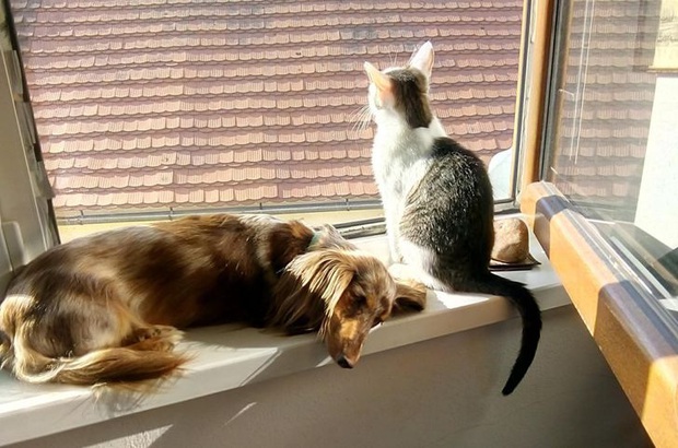 Những việc cho thấy tiêu chuẩn kép về giàu - nghèo là có thực: Đẳng cấp và nghèo nàn, tất cả phụ thuộc vào việc bạn có bao nhiêu tiền - Ảnh 6.