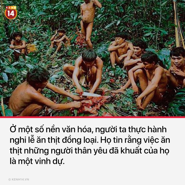 Những sự thật đen tối của nhân loại không dành cho người yếu còn thích ra gió - Ảnh 7.