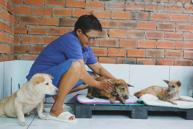 Người phụ nữ nuôi chó mèo bị bại liệt suốt 6 năm, bỏ cả công việc để chăm sóc đàn con của mình - Ảnh 7.