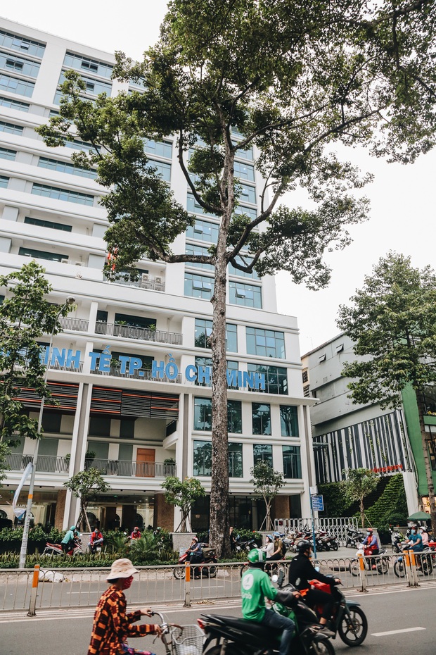 Sau vụ cây xanh bật gốc đè chết người: Vẫn còn nhiều cây đã già cỗi có rễ lộ thiên, nhánh vươn ra mặt đường ở Sài Gòn - Ảnh 4.
