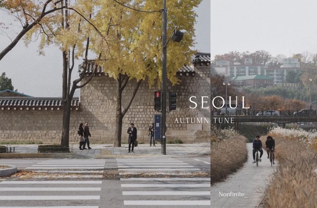 Bộ ảnh xem xong trào dâng thương nhớ Seoul: Đã đến mùa nơi này đẹp nhất, nhưng năm nay ta không thể gặp nhau - Ảnh 1.